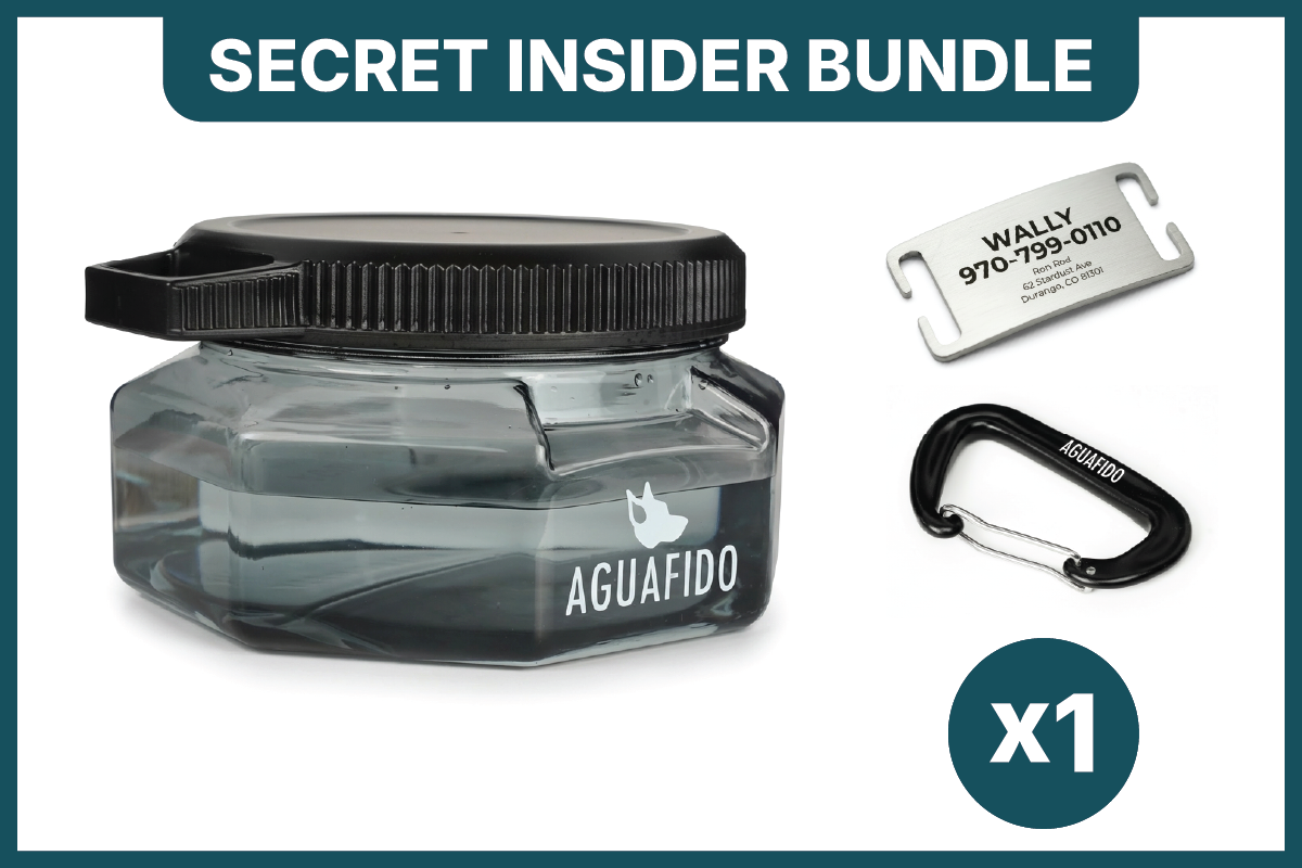 Post-Kickstarter Bundle for Rachelle