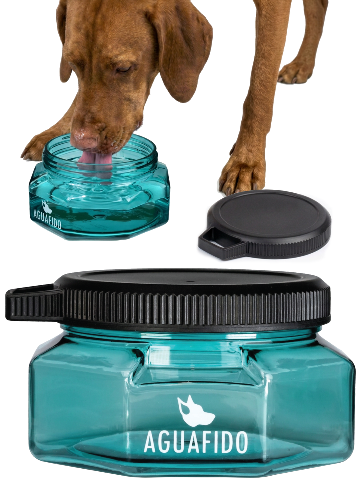 27oz Go-Anywhere Dog Bowl