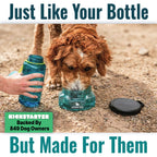 27oz Go-Anywhere Dog Bowl