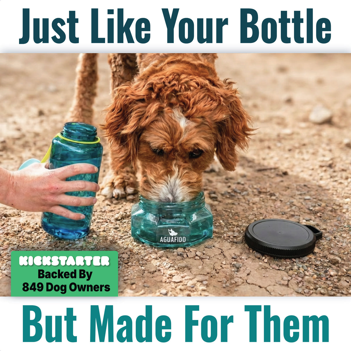 27oz Go-Anywhere Dog Bowl